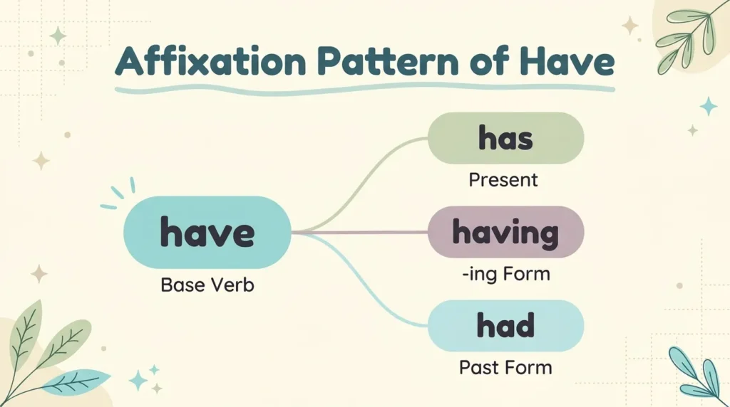 Affixation Pattern of Have